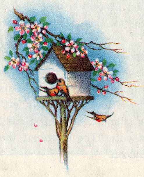 birds with birdhouse under apple blossom